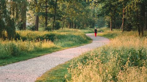 De 5 mooiste wandelroutes rond Halen